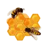 Bee’api